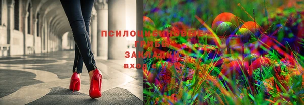 гашиш Аркадак