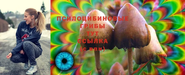 первитин Арсеньев